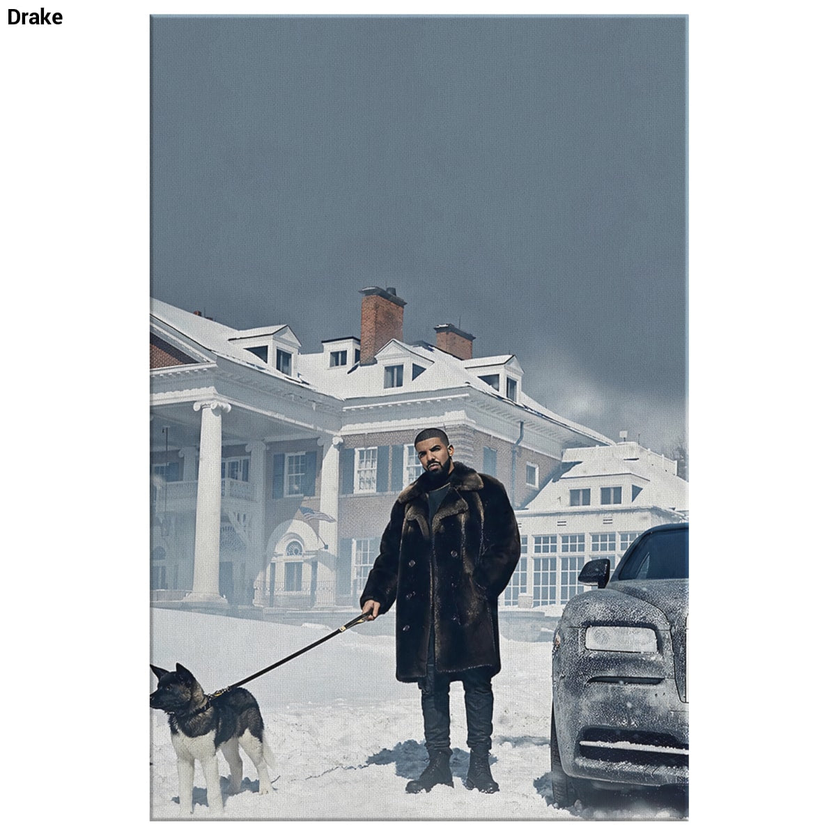 Drake - 8 x 12 - Canvas Wall Art 2